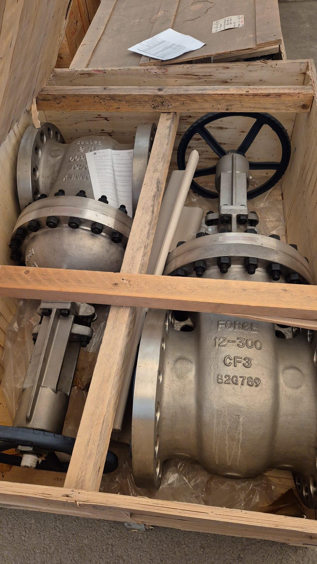 12" GATE V. FLG. ENDS A351-CF3 RF 300 HANDWHEEL B16.10N 10 SEE DATA SHEET